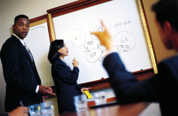 IPMA D project management